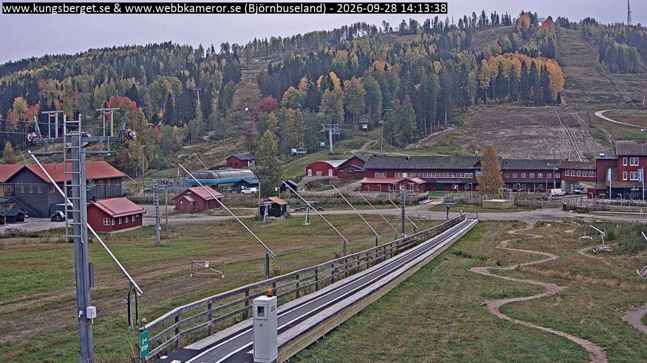 Björnbuseland