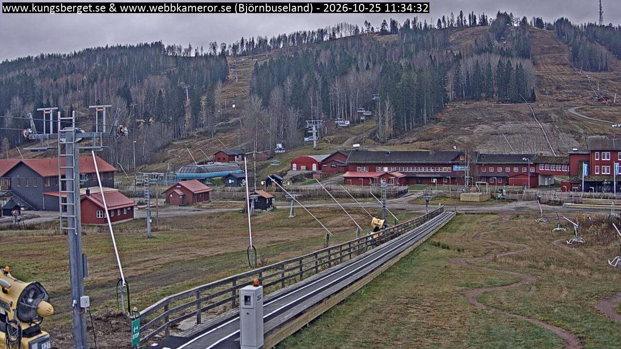 Björnbuseland