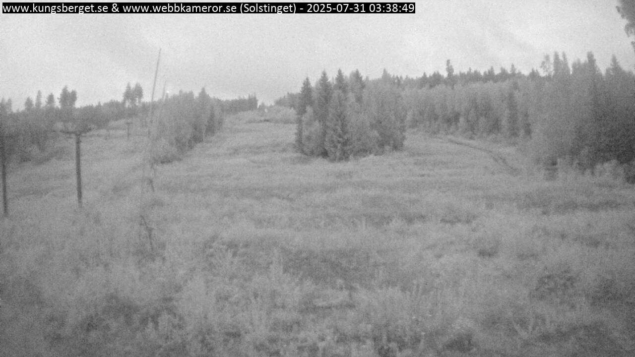 Solstinget