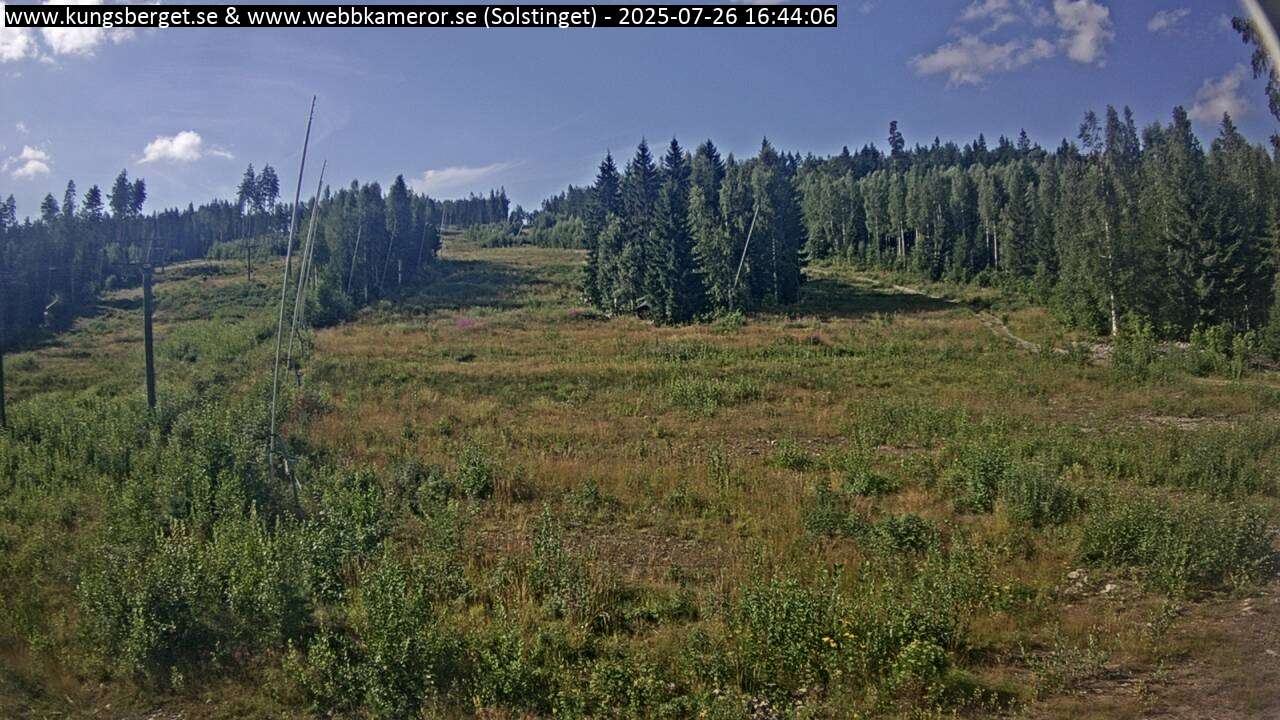 Solstinget