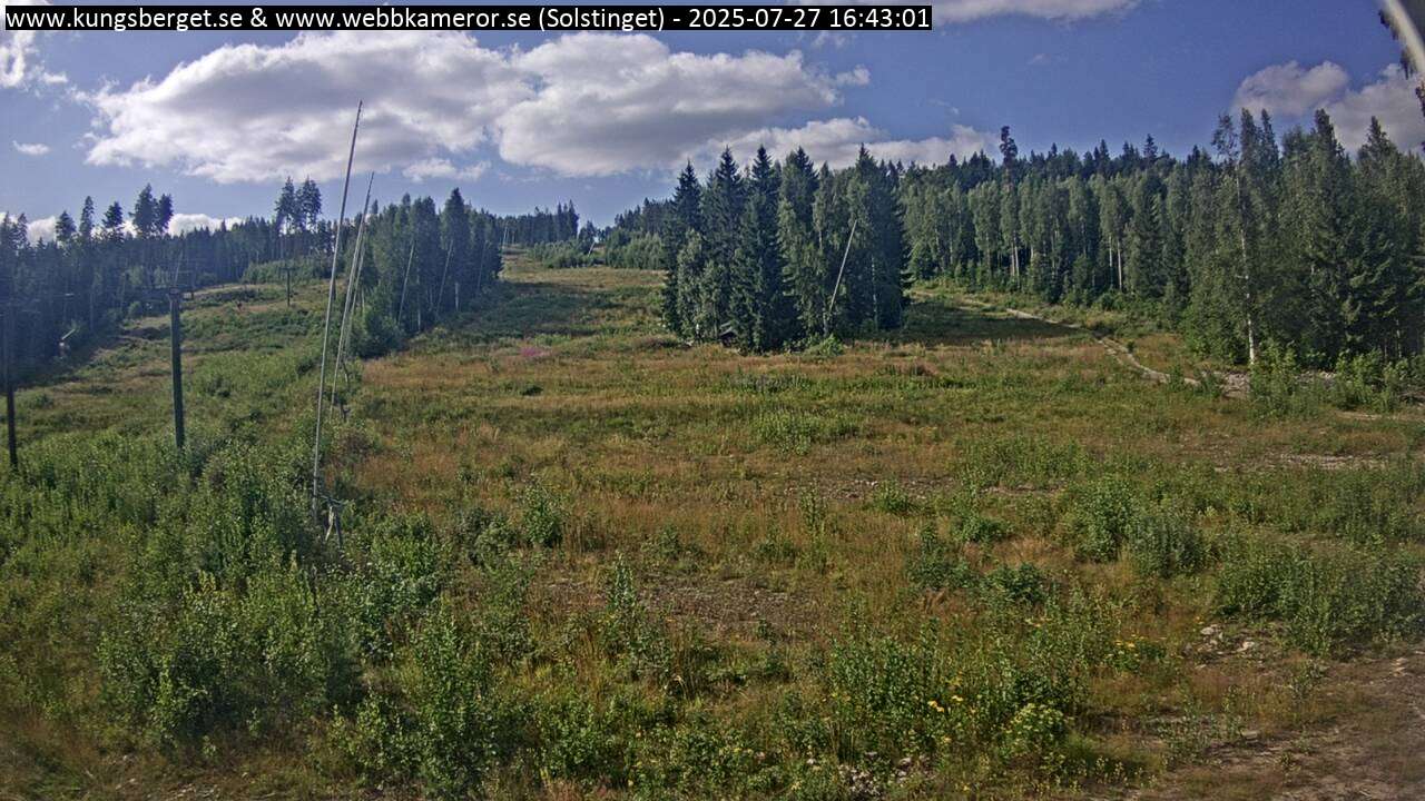 Solstinget