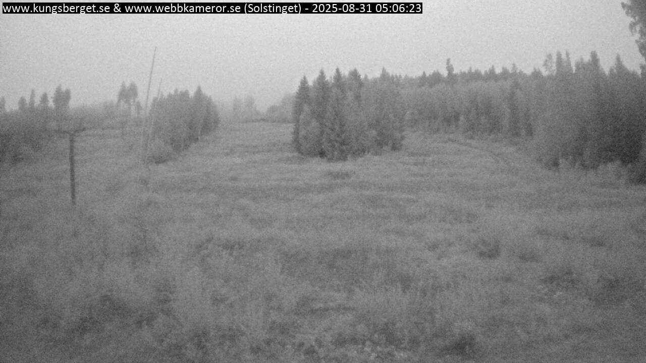 Solstinget