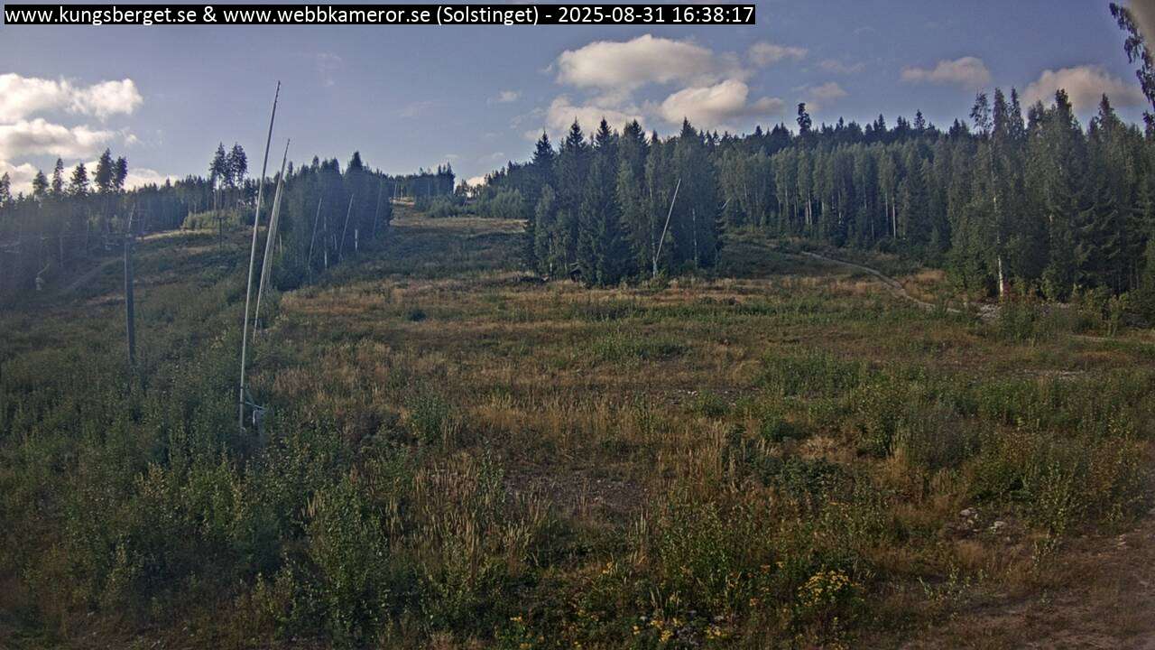Solstinget