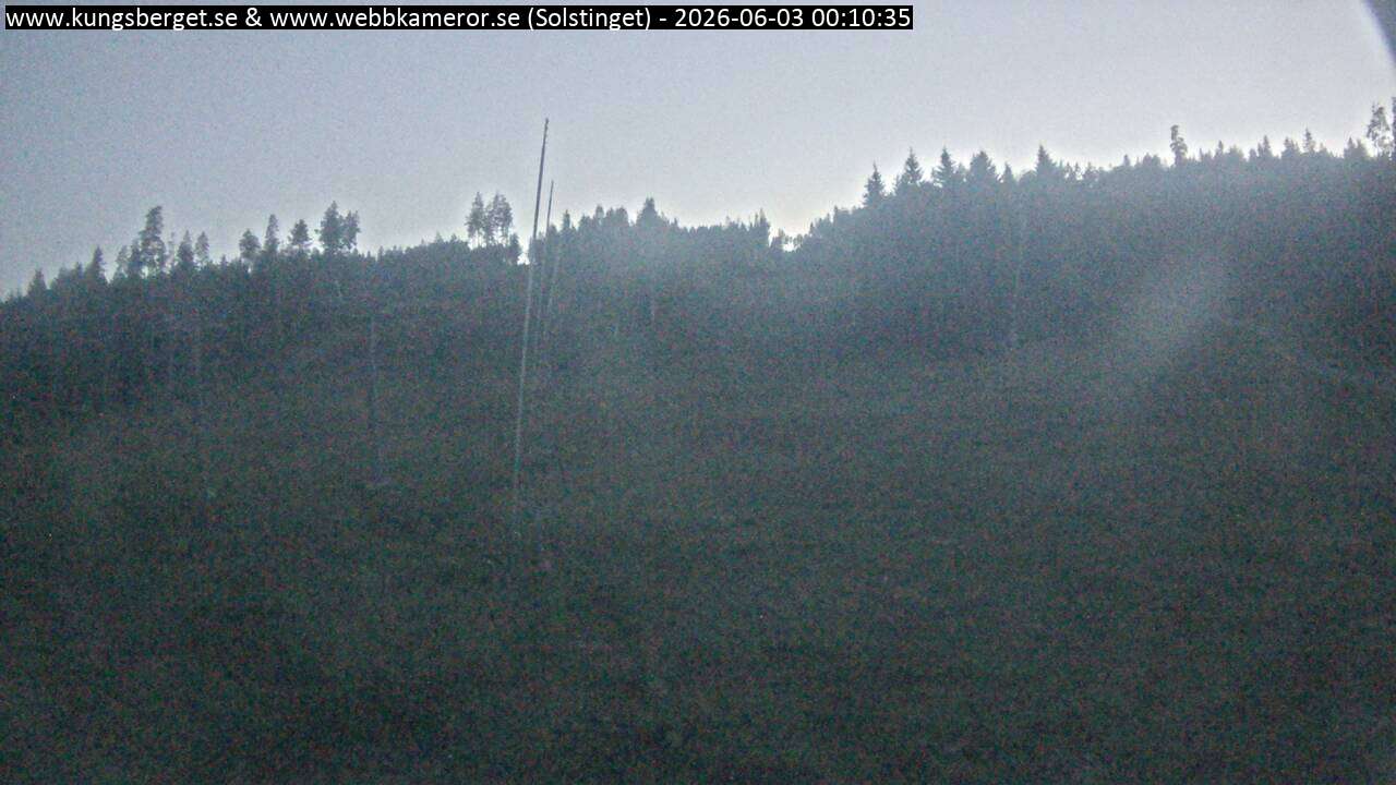 Solstinget