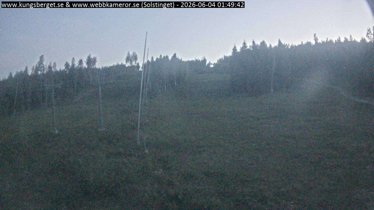 Solstinget