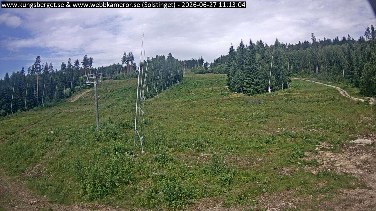 Solstinget