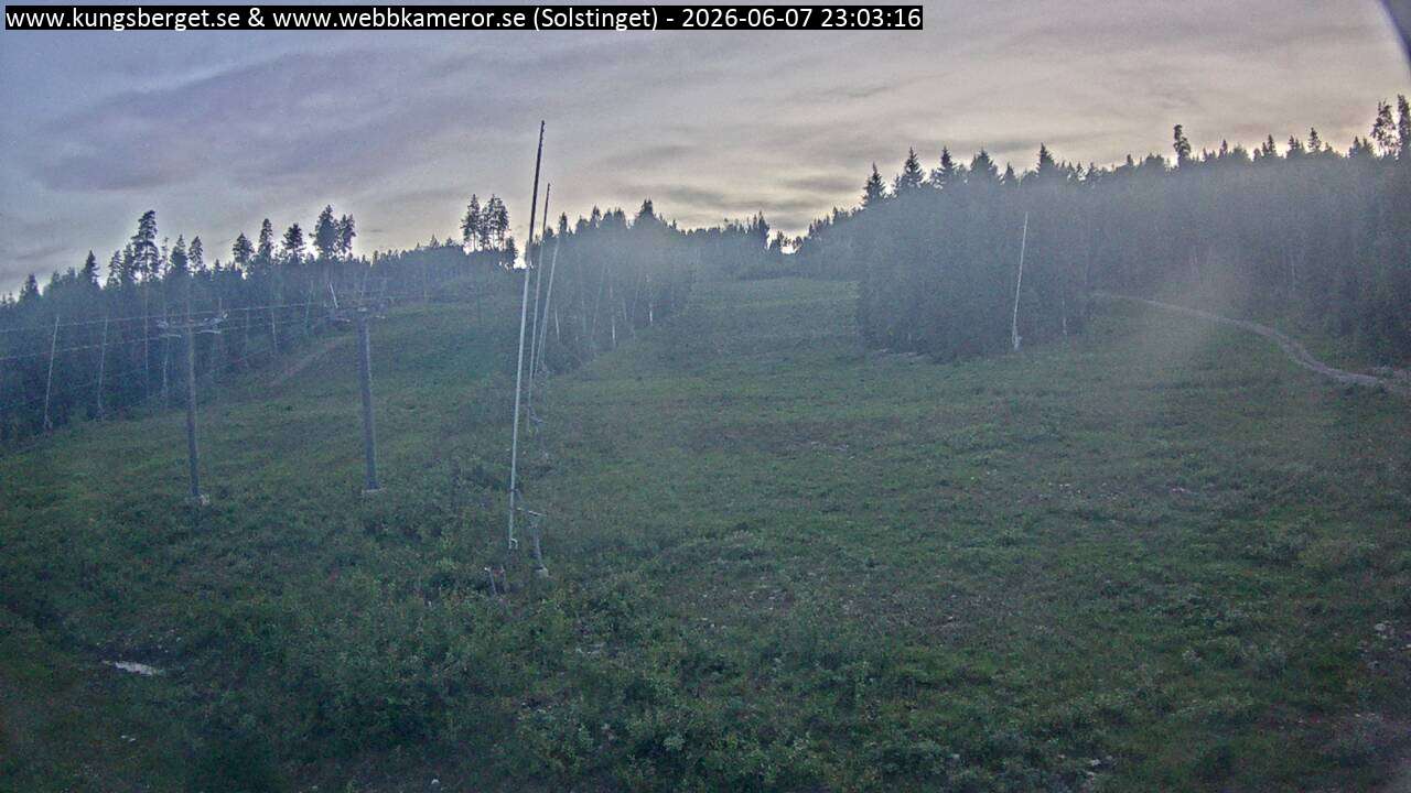 Solstinget