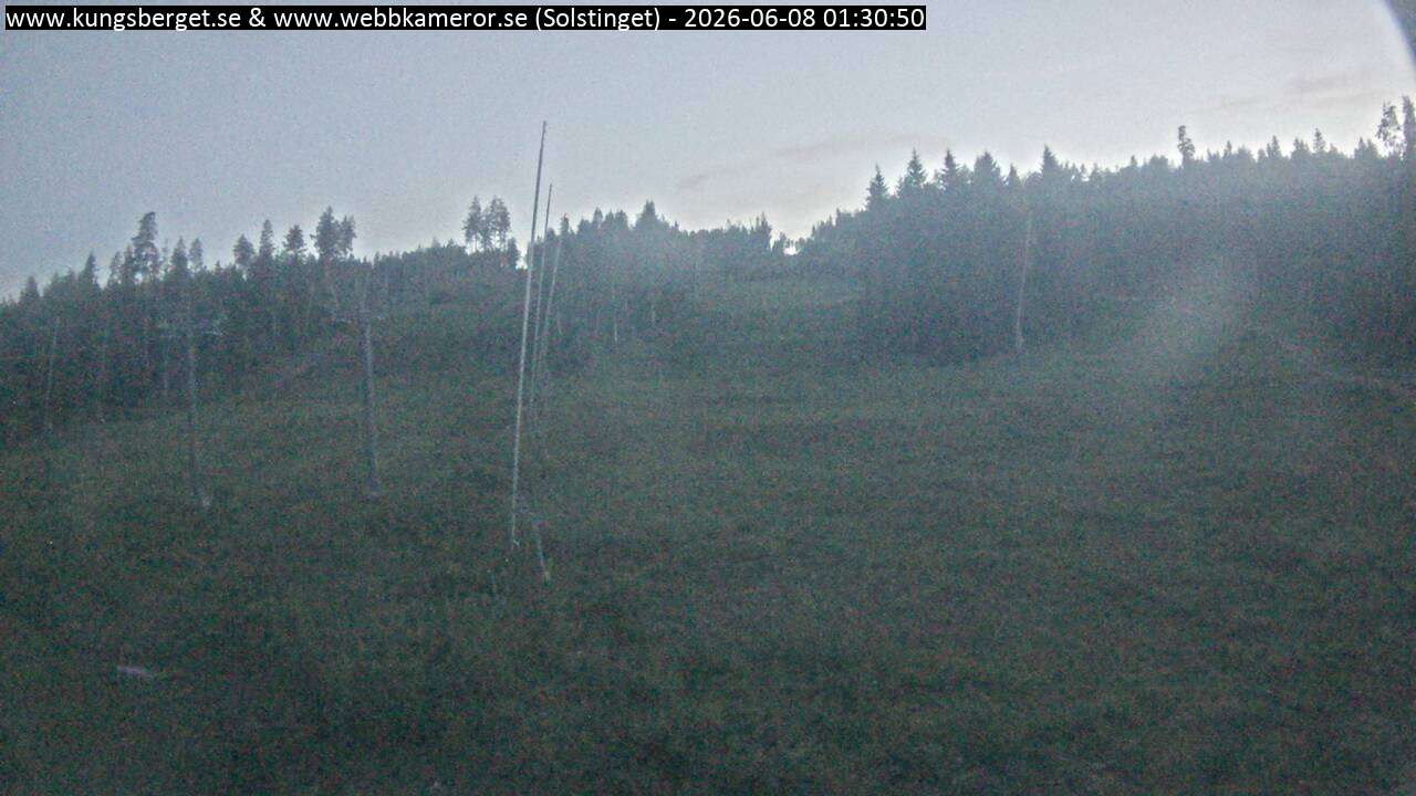 Solstinget