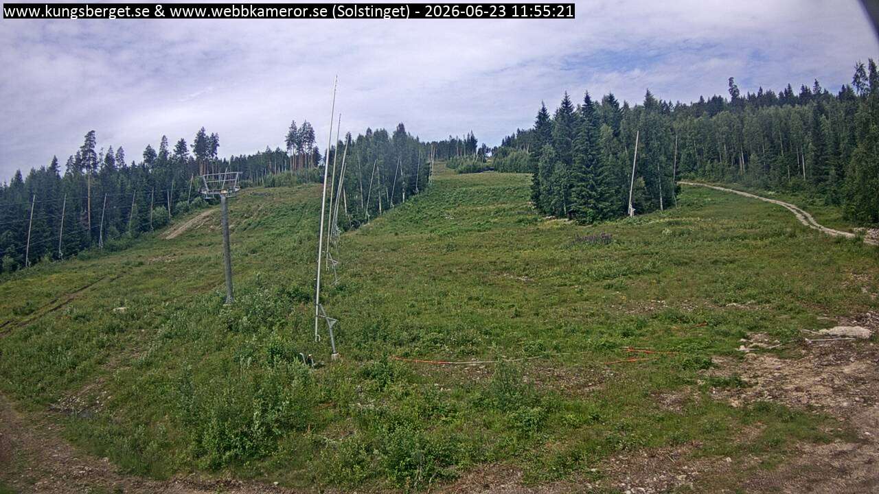 Solstinget
