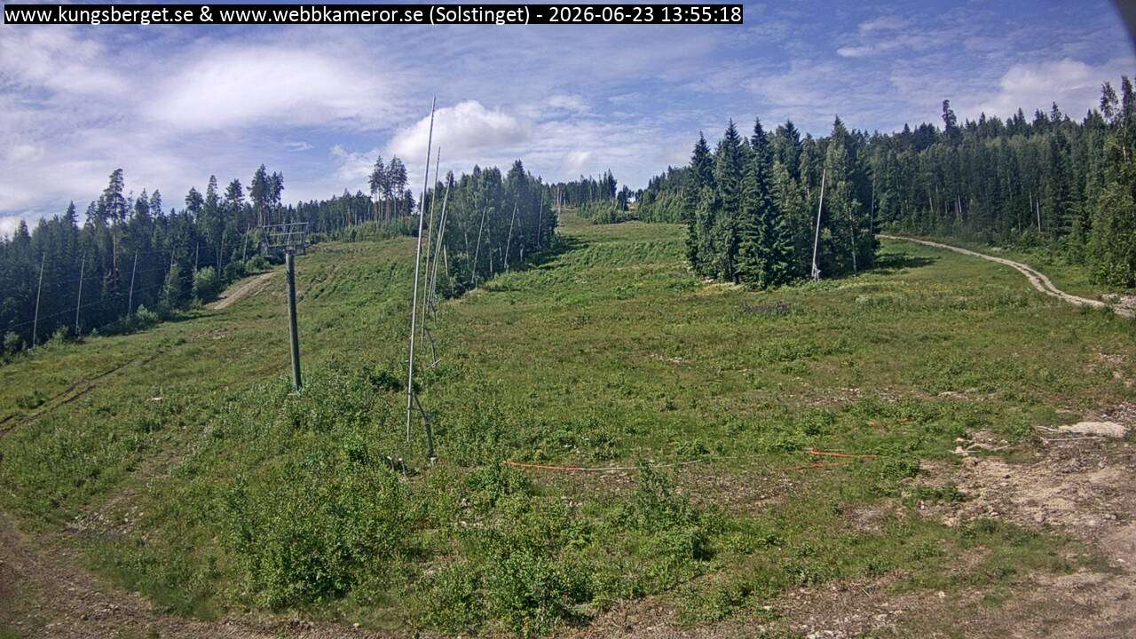 Solstinget