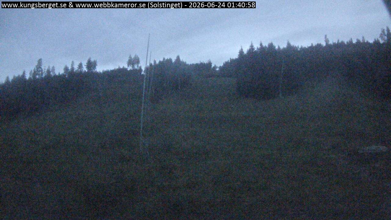 Solstinget