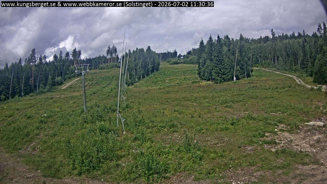 Solstinget