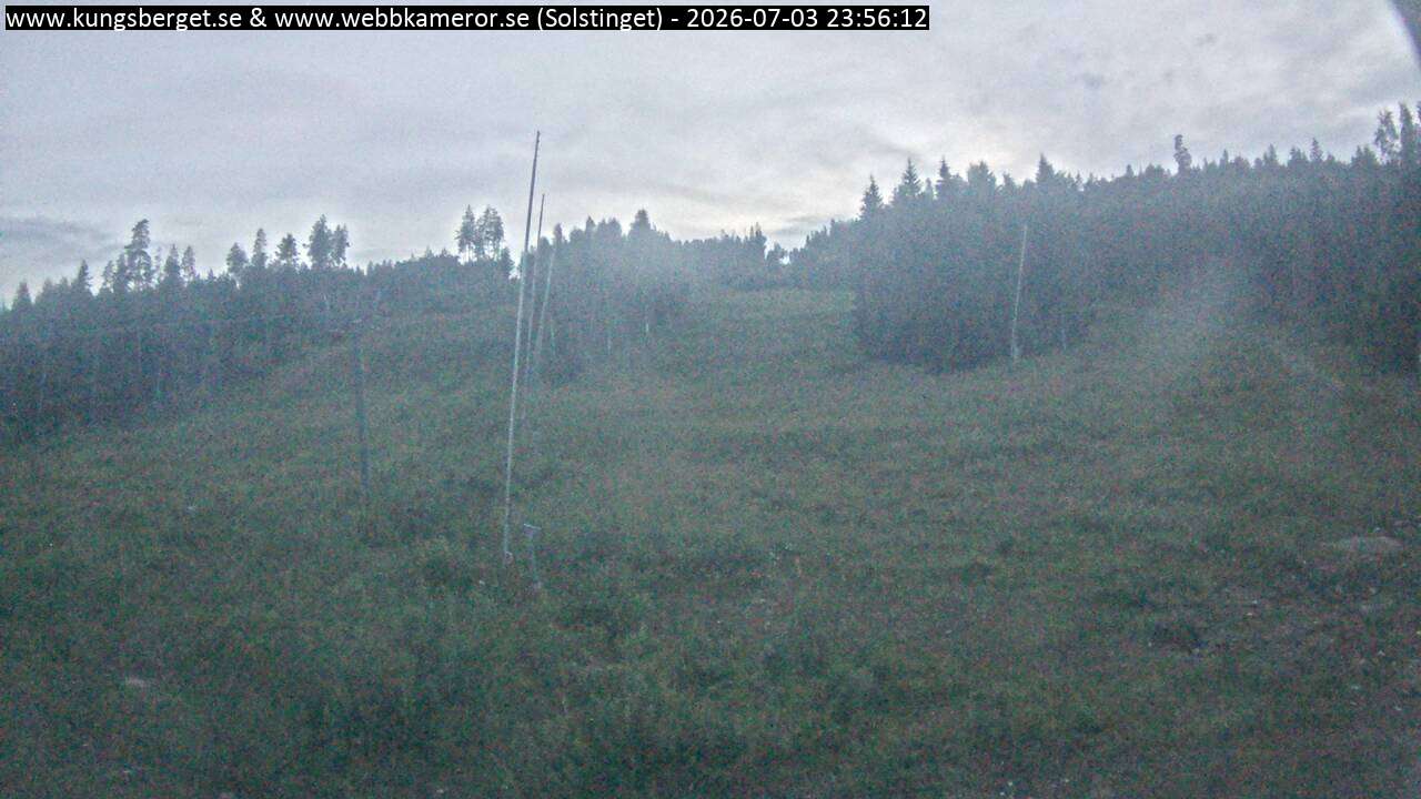 Solstinget