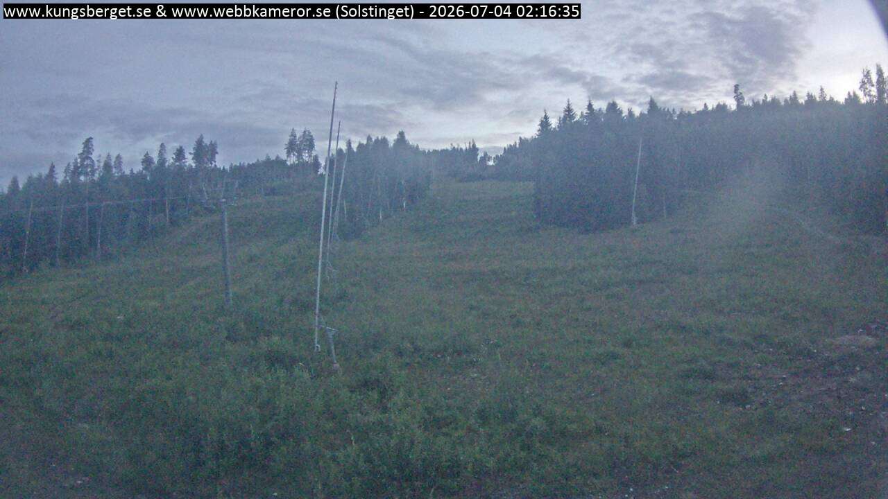 Solstinget