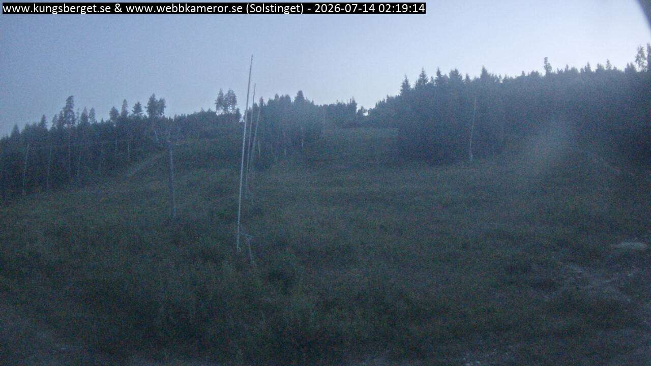 Solstinget