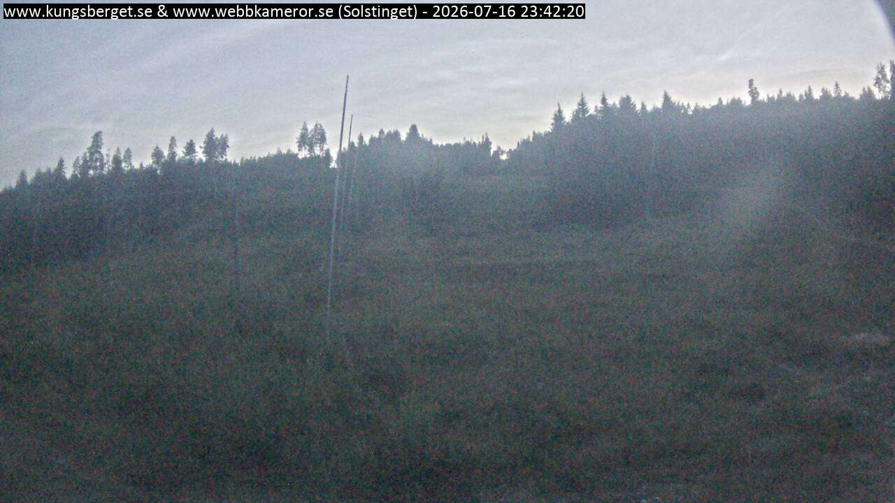 Solstinget