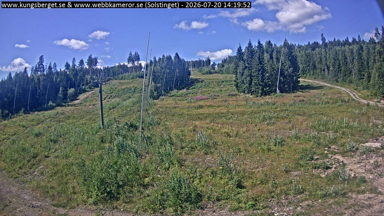 Solstinget
