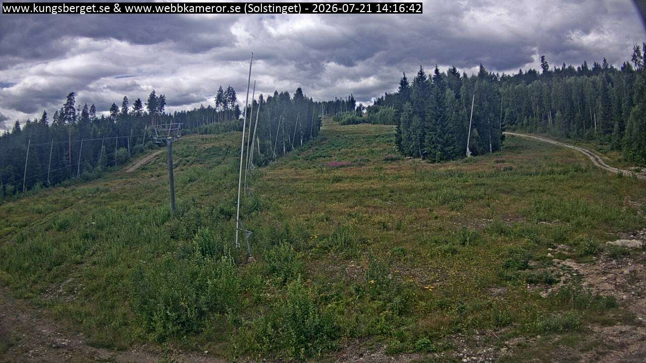 Solstinget