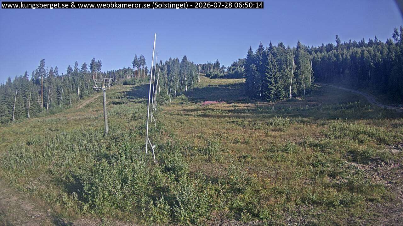 Solstinget