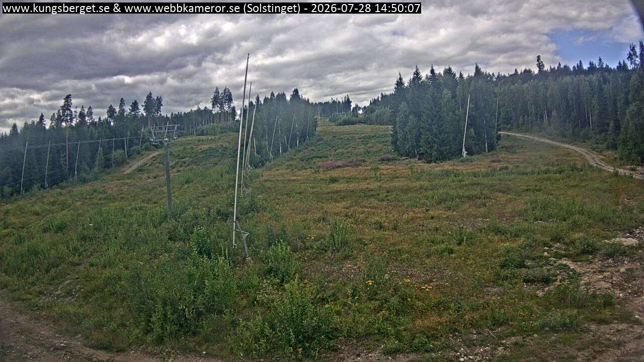 Solstinget