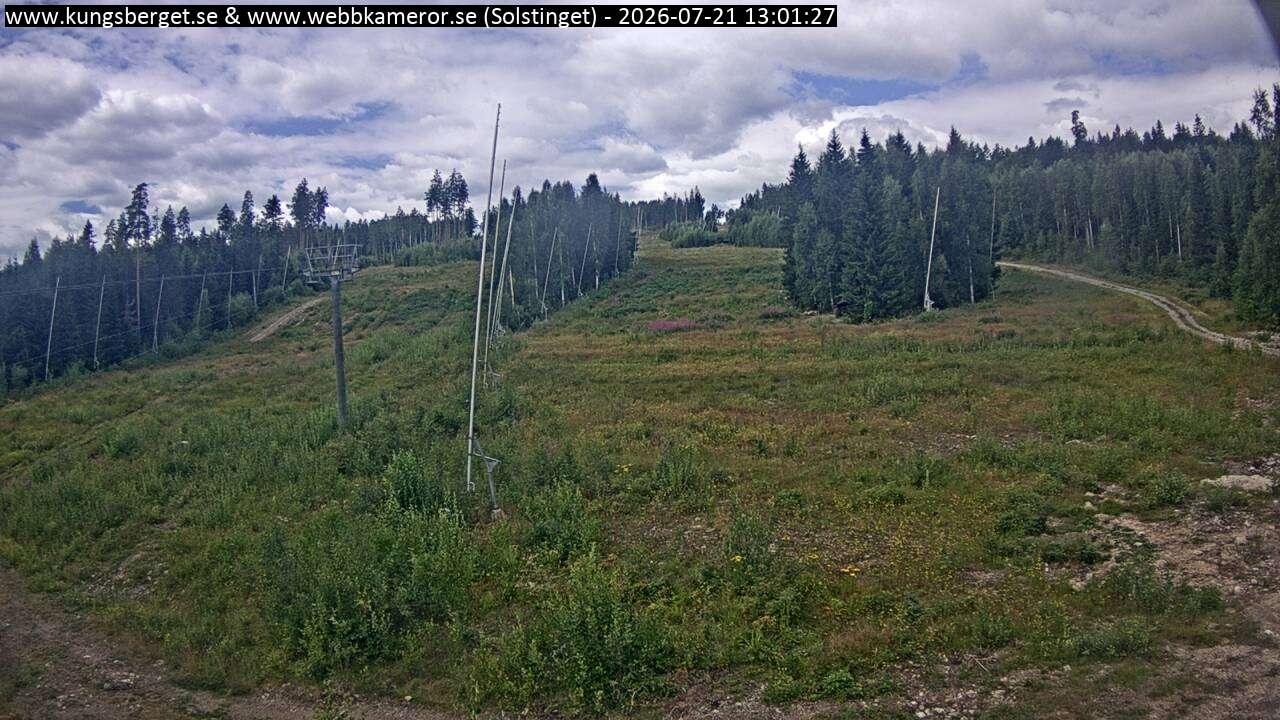 Solstinget