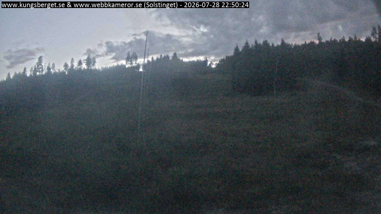 Solstinget