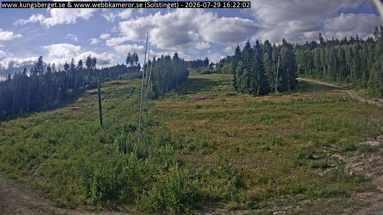 Solstinget