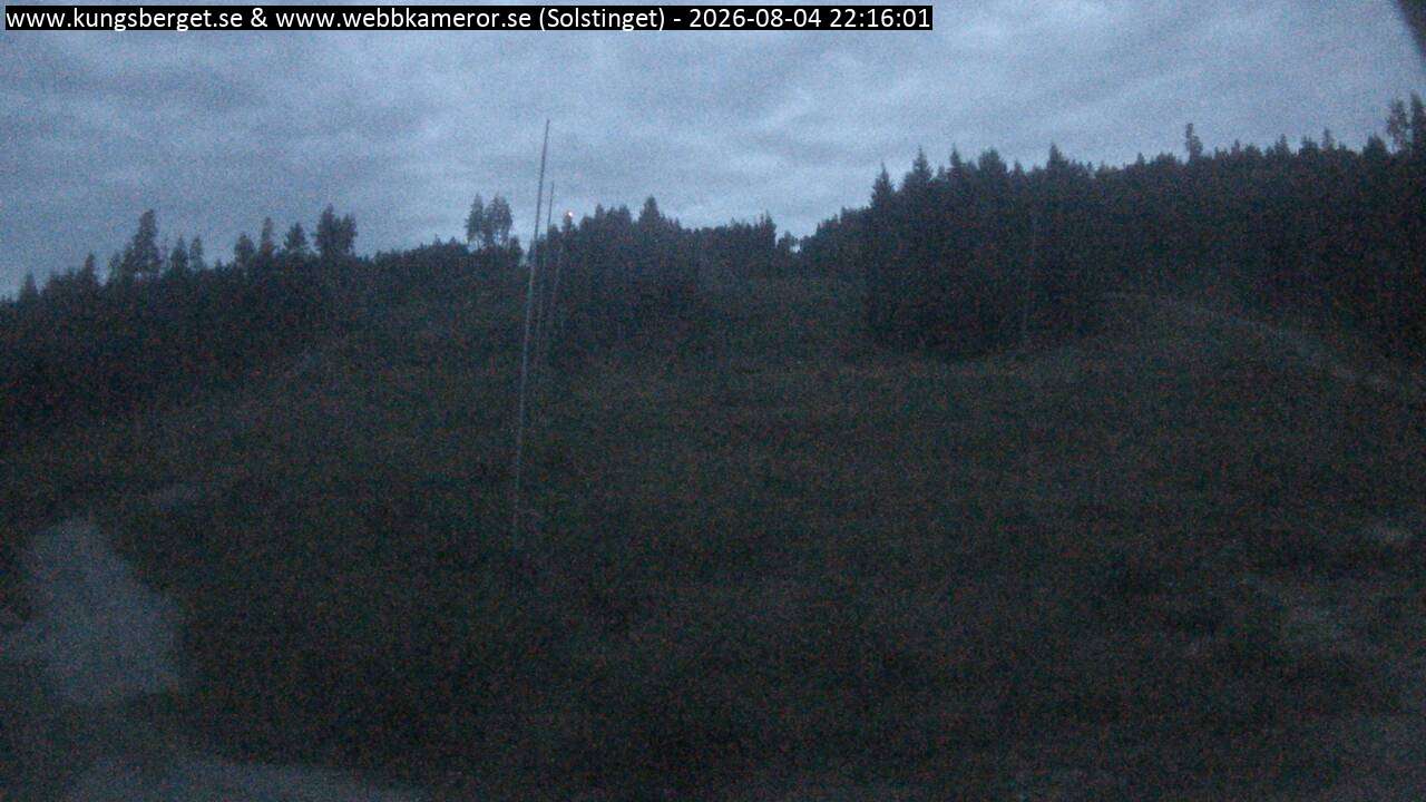 Solstinget