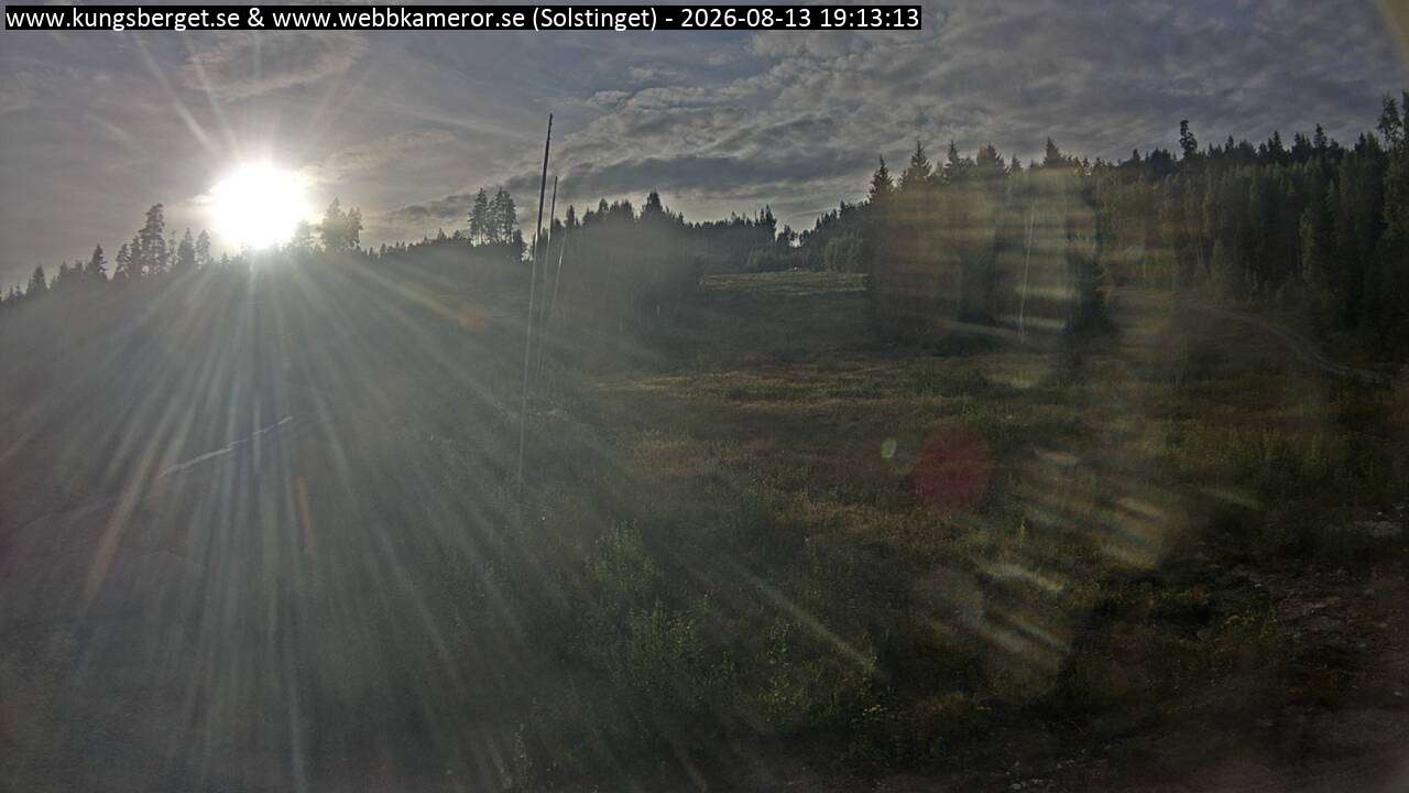 Solstinget