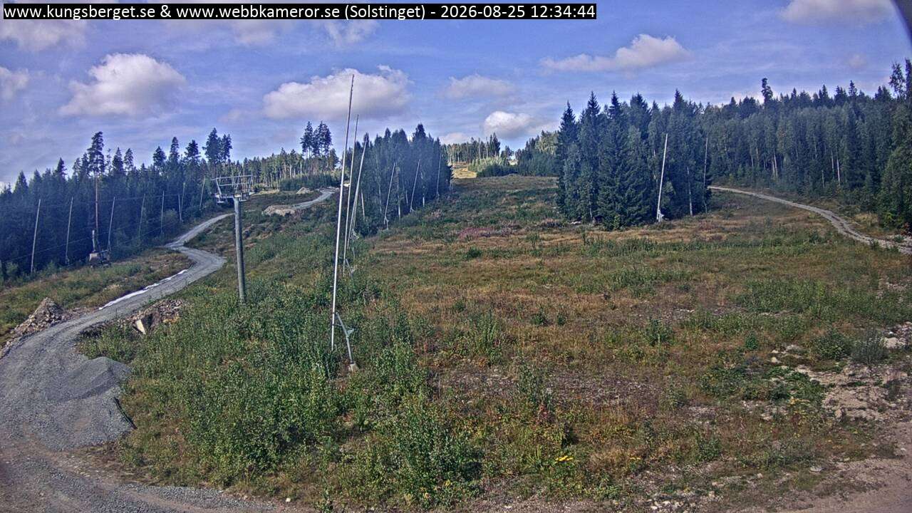 Solstinget