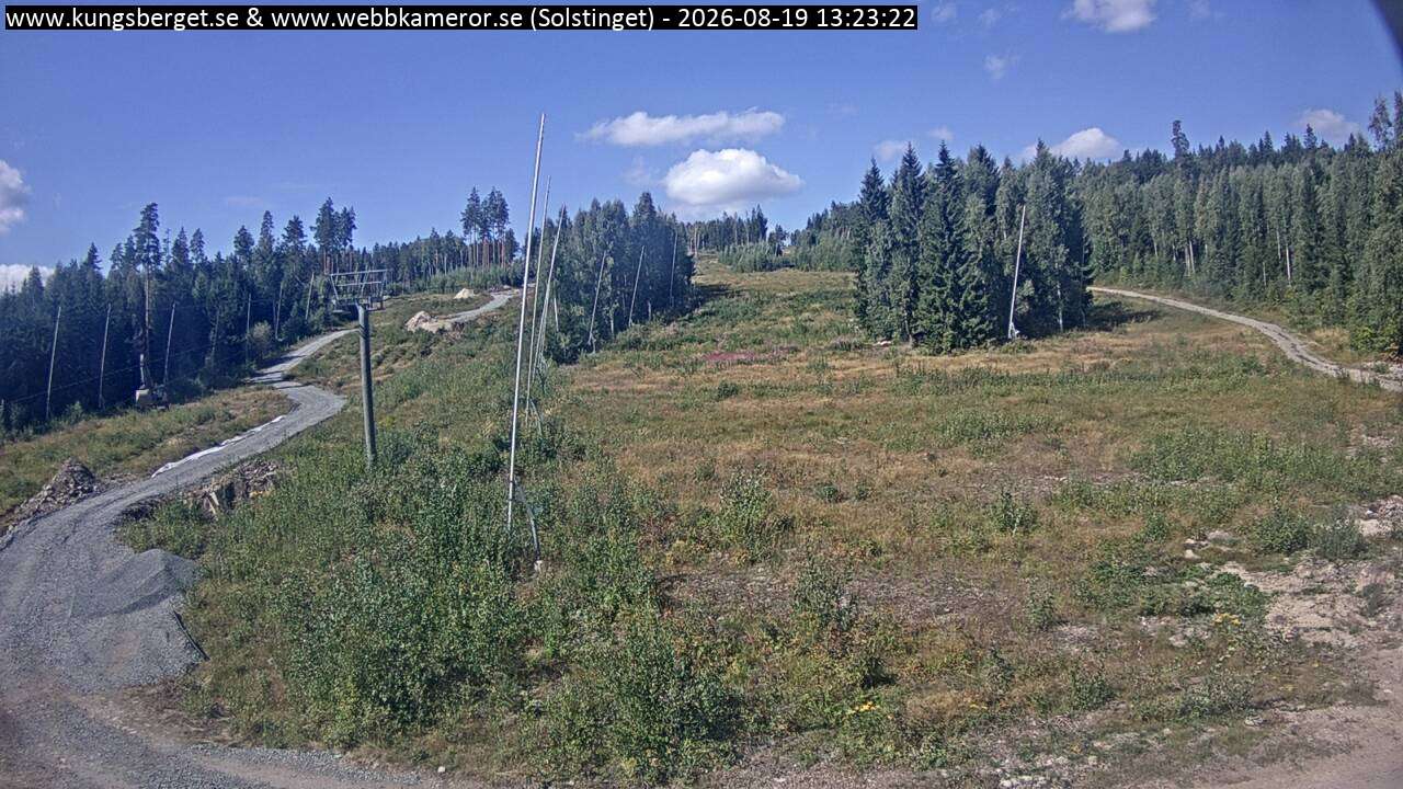 Solstinget