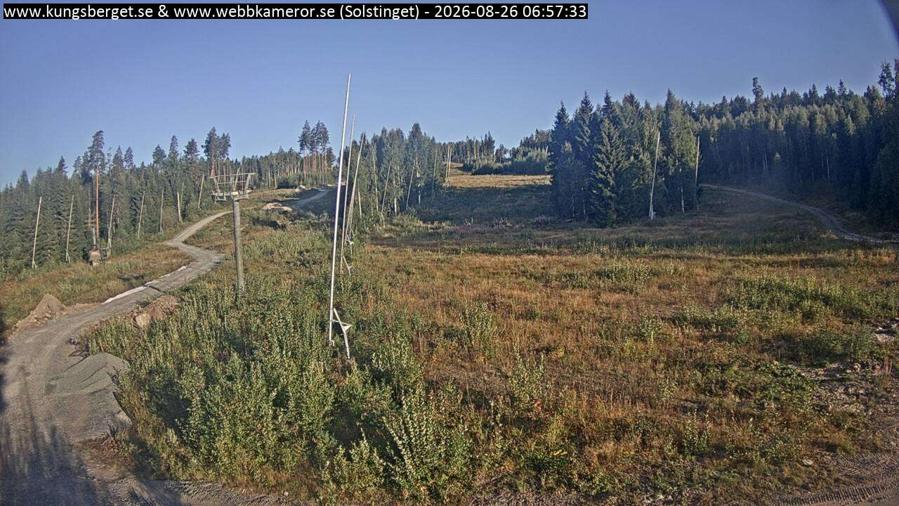 Solstinget