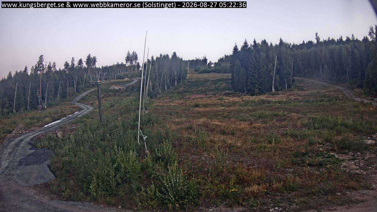 Solstinget