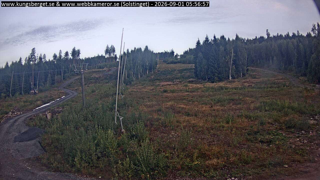 Solstinget