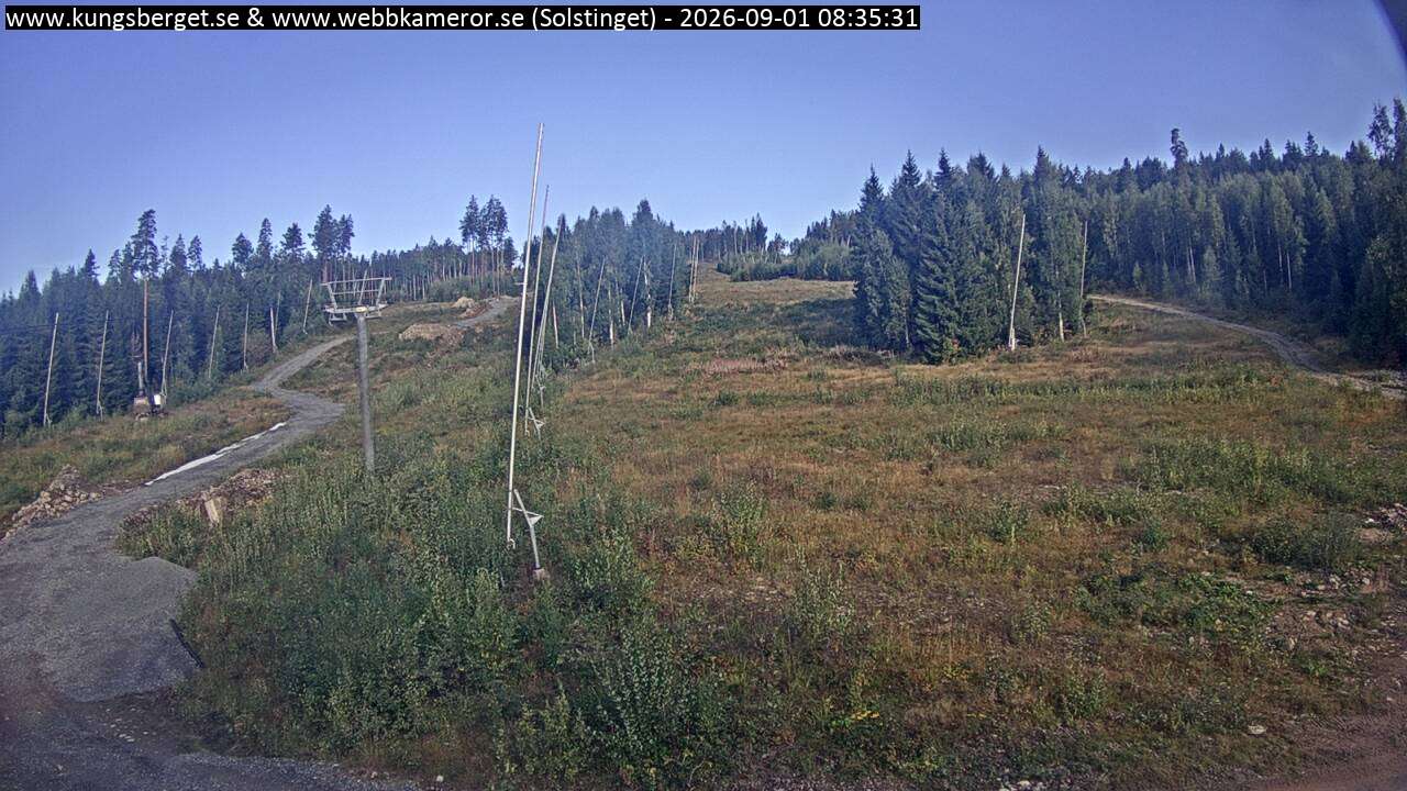 Solstinget
