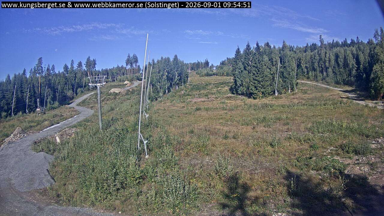 Solstinget