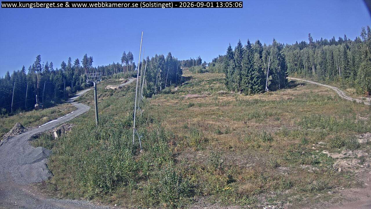 Solstinget