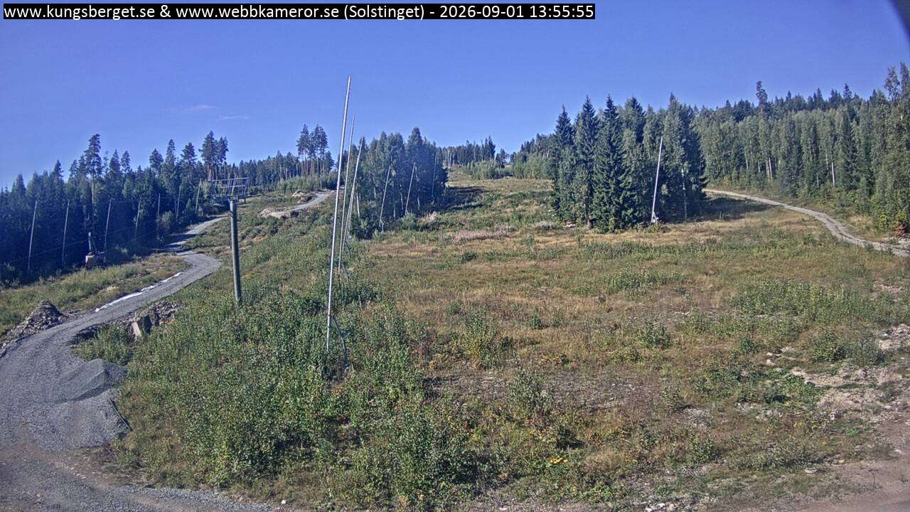 Solstinget