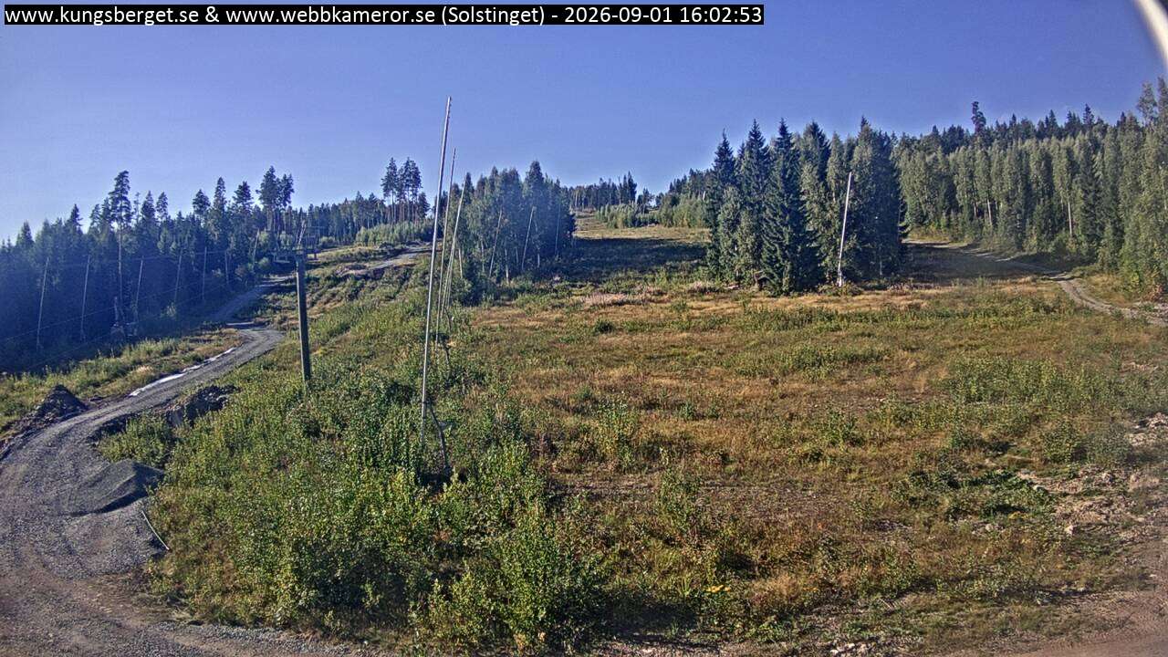 Solstinget