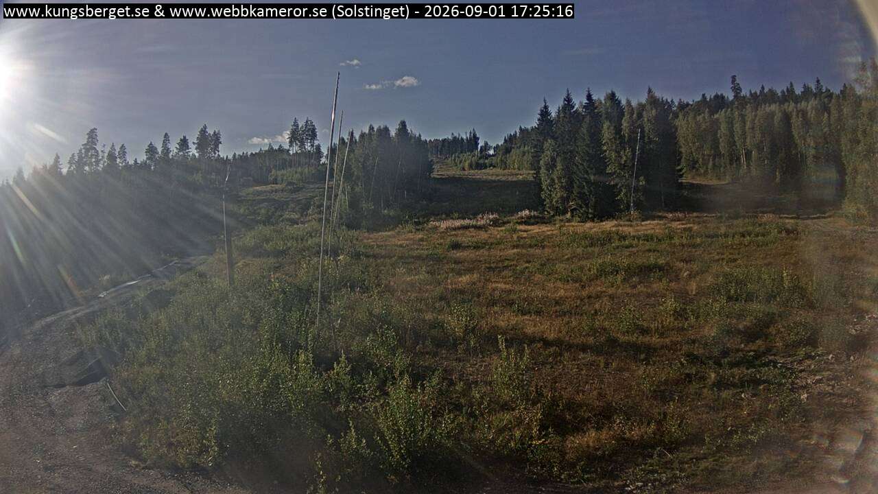Solstinget