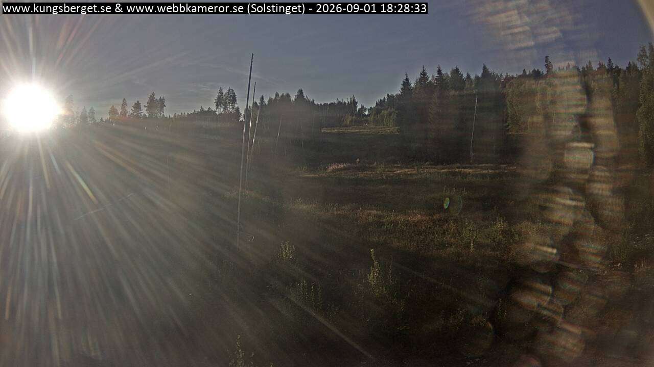 Solstinget