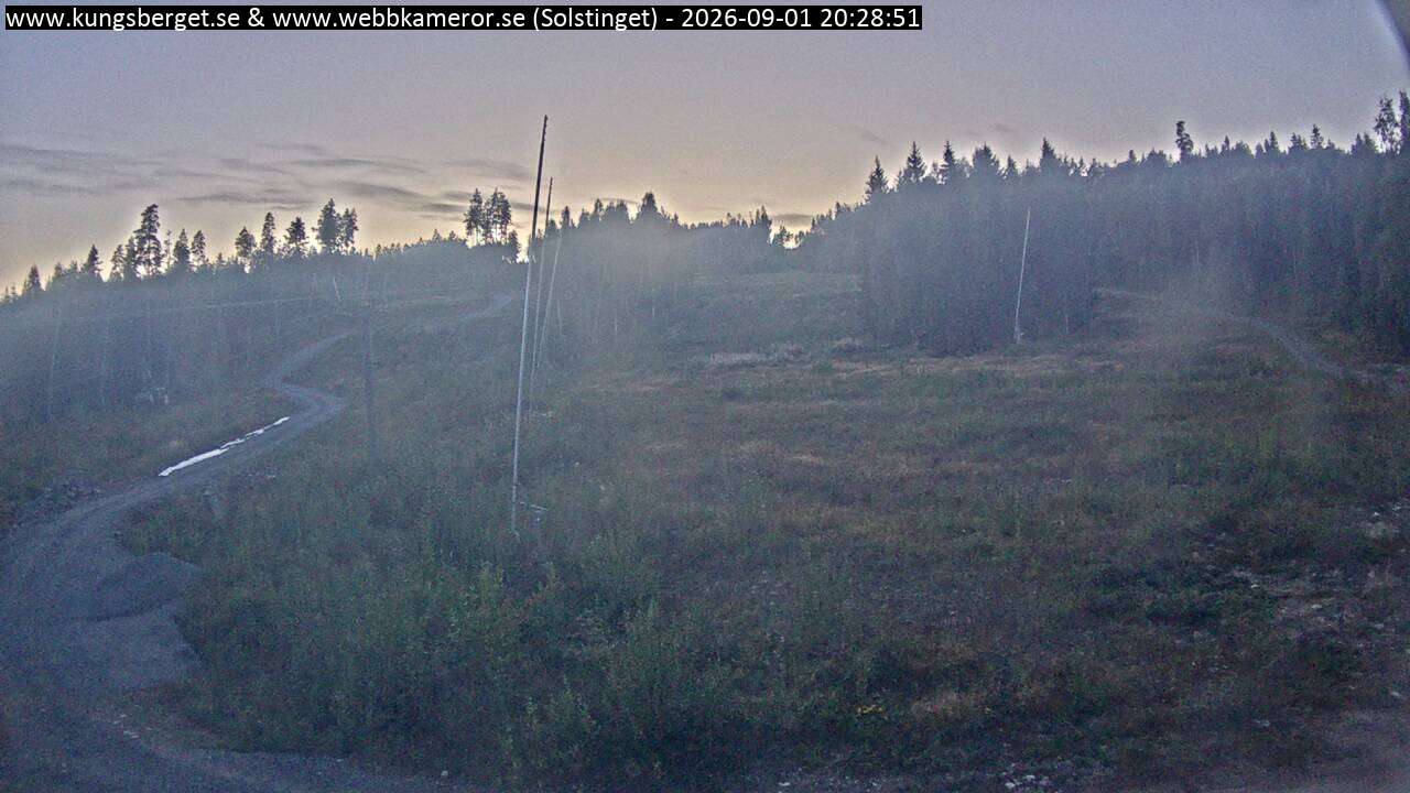 Solstinget
