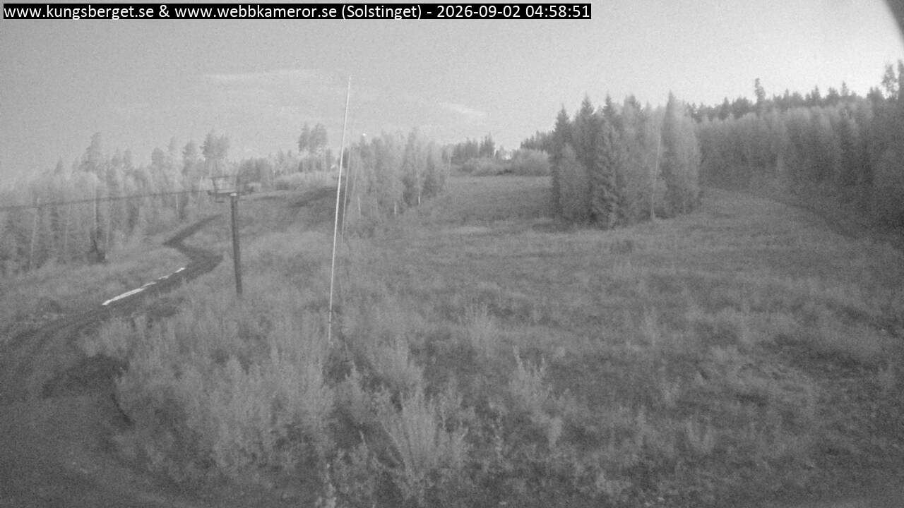 Solstinget