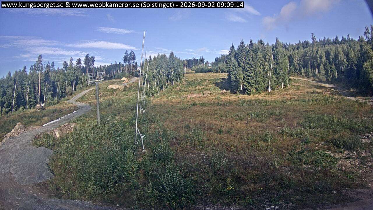 Solstinget