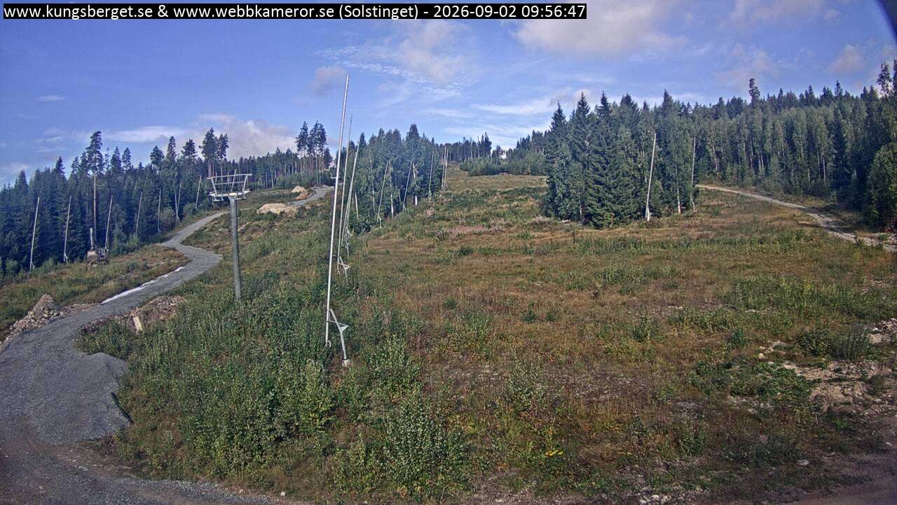 Solstinget