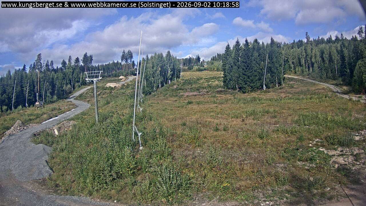 Solstinget