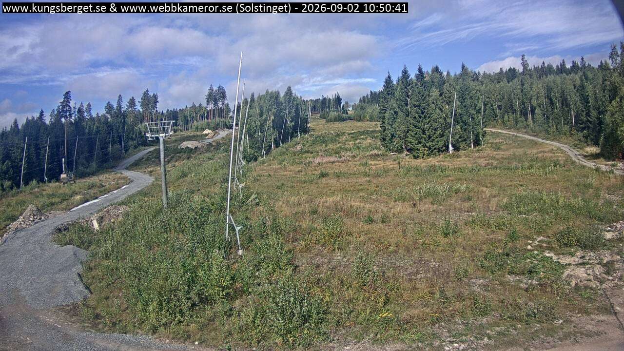 Solstinget