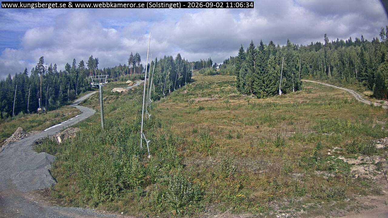 Solstinget