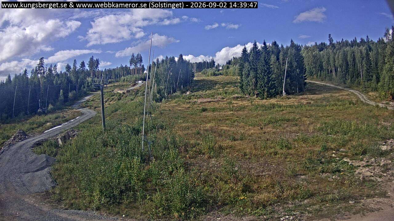 Solstinget
