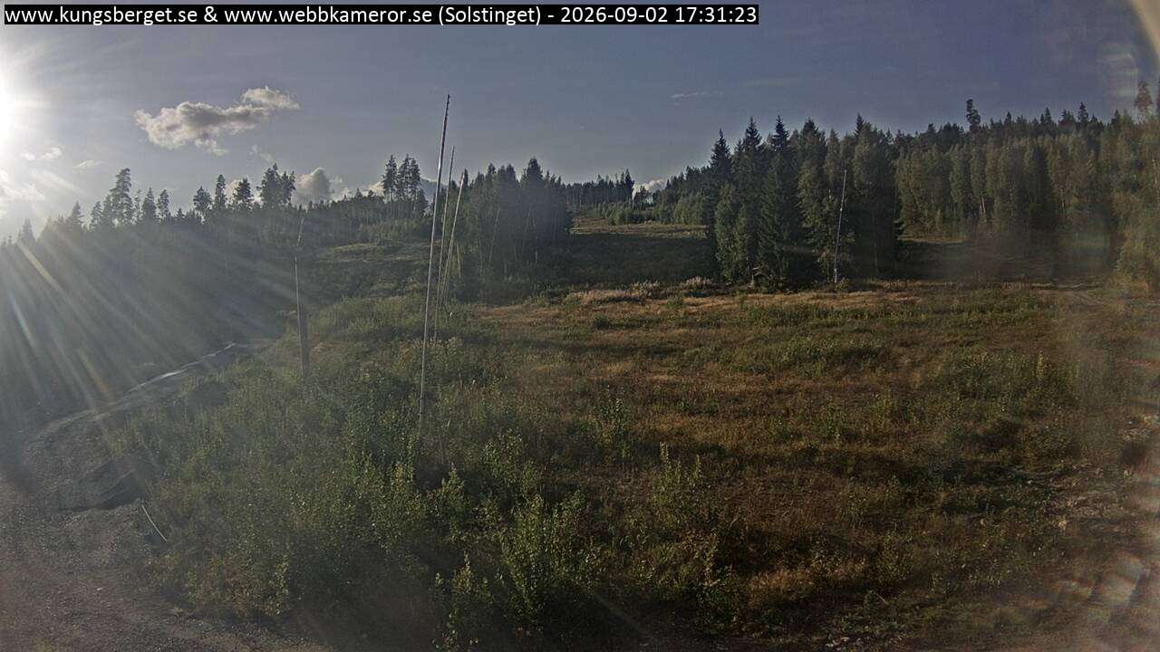 Solstinget